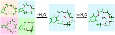 Graphical abstract: Water-mediated conformer optimization in benzo-18-crown-6-ether/water system