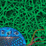 Graphical abstract: Electrochemistry at carbon nanotubes: perspective and issues