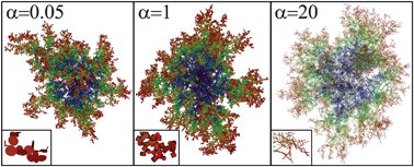 Graphical abstract: Mesoscale structure of diffusion-limited aggregates of colloidal rods and disks