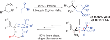 Graphical abstract: One-pot cascade Michael–Michael–Aldol condensation for diastereoselective synthesis of nitro-substituted cyclohexanes