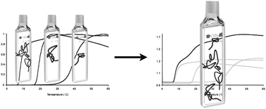 Graphical abstract: Elastin-like polypeptides of different molecular weights show independent transition temperatures when mixed