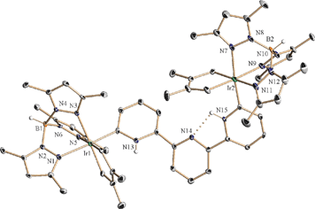 Graphical abstract: Synthesis and structural characterization of a binuclear iridium complex with bridging, bidentate N-heterocyclic carbene coordination of 2,2′:6′,2″-terpyridine
