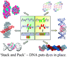 Graphical abstract: Nucleic acid-guided assembly of aromatic chromophores