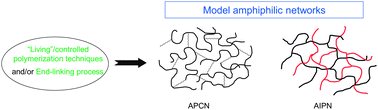 Graphical abstract: Expanding the role of chemistry to produce new amphiphilic polymer (co)networks