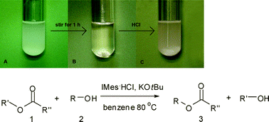 Graphical abstract: Separation, recovery and reuse of N-heterocyclic carbene catalysts in transesterification reactions