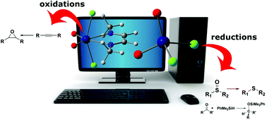 Graphical abstract: Expanding the role of oxo-molybdenum(vi) catalysts: a DFT interpretation of X–H activation leading to reduction or oxidation