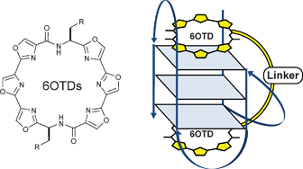 Graphical abstract: G-quadruplex recognition by macrocyclic hexaoxazole (6OTD) dimer: greater selectivity than monomer