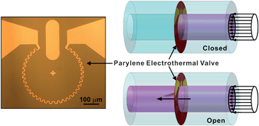 Graphical abstract: A low power, on demand electrothermal valve for wireless drug delivery applications