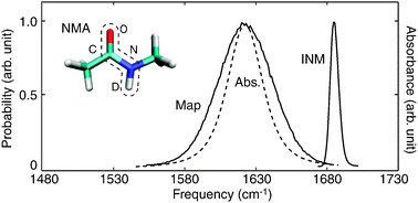 Graphical abstract: Molecular mechanics force field-based map for peptide amide-I mode in solution and its application to alanine di- and tripeptides