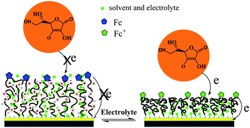 Graphical abstract: Electrolyte-modulated electrochemistry and electrocatalysis on ferrocene-terminated polyelectrolyte brushes