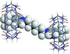 Graphical abstract: Cucurbit[7]uril host-guest and pseudorotaxane complexes with α,ω-bis(pyridinium)alkane dications