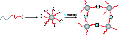 Graphical abstract: Connecting micelles by metallo-supramolecular interactions: towards stimuli responsive hierarchical materials