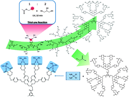 Graphical abstract: Efficient synthesis of dendrimersvia a thiol–yne and esterification process and their potential application in the delivery of platinum anti-cancer drugs
