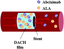 Graphical abstract: Preparation of a dual-drug-eluting stent by grafting of ALA with abciximab on a bare metal stent