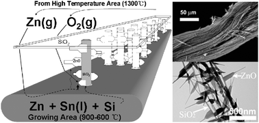Graphical abstract: Self-assembly of ZnO/SiO2 hierarchical nanostructures array on metal substrate
