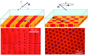 Graphical abstract: Colloidal transport on magnetic garnet films