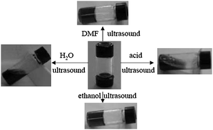 Graphical abstract: Multi-responsive carbon nanotube gel prepared via ultrasound-induced assembly