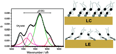 Graphical abstract: Orientation of the GM1 ganglioside in Langmuir–Blodgett monolayers: a PM IRRAS and computational study