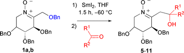 Graphical abstract: Tandem SmI2-induced nitrone β-elimination/aldol-type reaction