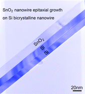 Graphical abstract: New nanowire heterostructures: SnO2 nanowires epitaxial growth on Si bicrystalline nanowires