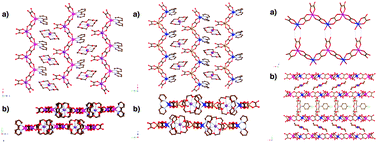 Graphical abstract: Design of bimetallic magnetic chains based on oxalate complexes: towards single chain magnets