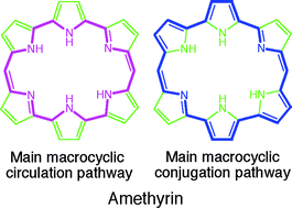 Graphical abstract: Prediction of the main macrocyclic conjugation pathway for porphyrinoids from the ring current distribution