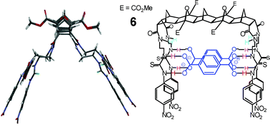 Graphical abstract: Binding of the terephthalate dianion by di- tri- and tetrathiourea functionalised fused [3] and [5]polynorbornane based hosts