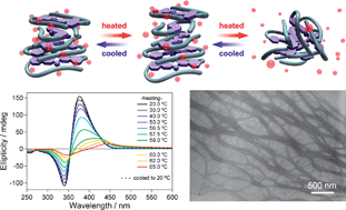 Graphical abstract: Self-assembly of amphiphilic fluorescent dyes showing aggregate-induced enhanced emission: temperature dependence of molecular alignment and intermolecular interaction in aqueous environment