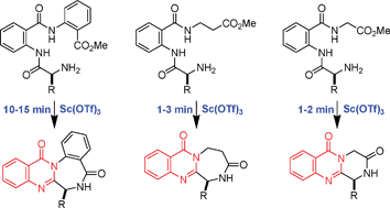 Graphical abstract: Total synthesis of asperlicin C, circumdatin F, demethylbenzomalvin A, demethoxycircumdatin H, sclerotigenin, and other fused quinazolinones