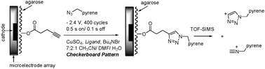 Graphical abstract: Building addressable libraries: a site-selective click-reaction strategy for rapidly assembling mass spectrometry cleavable linkers