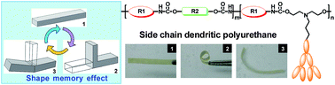 Graphical abstract: Side chain dendritic polyurethanes with shape-memory effect