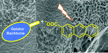 Graphical abstract: Studies on a new class of organogelator containing 2-anthracenecarboxylic acid: Influence of gelator and solvent on stereochemistry of the photodimers