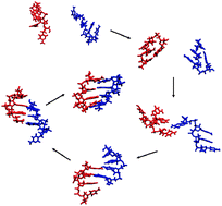 Graphical abstract: Simulation of DNA double-strand dissociation and formation during replica-exchange molecular dynamics simulations