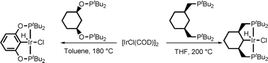 Graphical abstract: Synthesis and characterisation of PCsp3P phosphine and phosphinite iridium complexes. Cyclometallation and dehydrogenation of a cyclohexyl ring