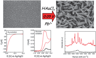 Graphical abstract: Gold nanospikes formed through a simple electrochemical route with high electrocatalytic and surface enhanced Raman scattering activity