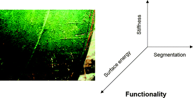 Graphical abstract: Approaches in designing non-toxic polymer surfaces to deter marine biofouling
