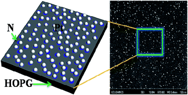 Graphical abstract: Improving PEM fuel cell catalyst activity and durability using nitrogen-doped carbon supports: observations from model Pt/HOPG systems