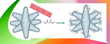 Graphical abstract: Solvent-free microwave-assisted Bingel reaction in carbon nanohorns
