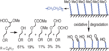 Graphical abstract: Oxidative degradation of oligo(ethylene glycol)-terminated monolayers