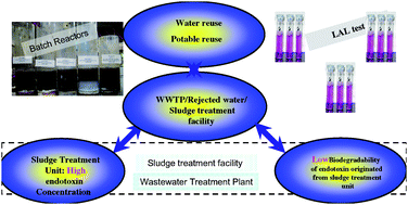 Graphical abstract: Survey on LPS endotoxin in rejected water from sludge treatment facility