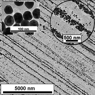 Graphical abstract: Gold encapsulation of star-shaped FePt nanoparticles