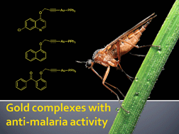 Graphical abstract: Synthesis and biological studies of some gold(I) complexes containing functionalised alkynes