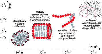 Graphical abstract: Review of multi-scale particulate simulation of the rheology of wormlike micellar fluids
