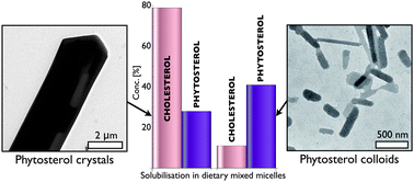 Graphical abstract: Colloidal phytosterols: synthesis, characterization and bioaccessibility