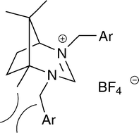 Graphical abstract: New enantiopure NHCs derived from camphor