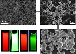 Graphical abstract: Facile synthesis of highly uniform octahedral LuVO4 microcrystals by a facile chemical conversion method