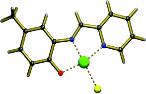 Graphical abstract: DNA cleavage and antitumour activity of platinum(II) and copper(II) compounds derived from 4-methyl-2-N-(2-pyridylmethyl)aminophenol: spectroscopic, electrochemical and biological investigation