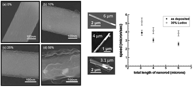 Graphical abstract: Enhanced speed of bimetallic nanorod motors by surface roughening