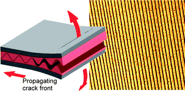Graphical abstract: Alignment control of liquid crystal molecules using crack induced self-assembled grooves
