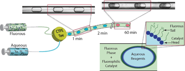 Graphical abstract: Suzuki–Miyaura coupling reactions in aqueous microdroplets with catalytically active fluorous interfaces